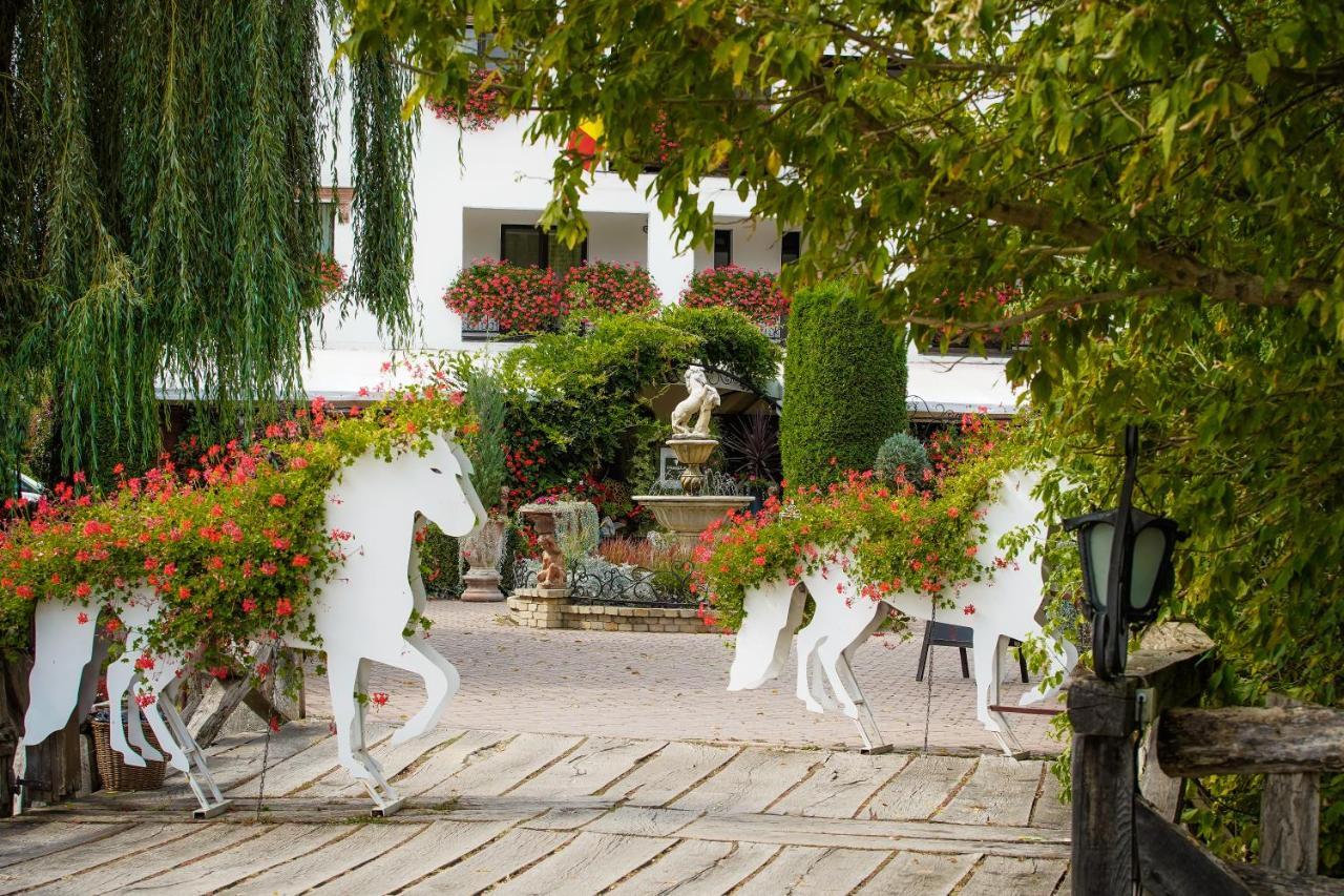 Hotel Domeniul Dracula Daneş Extérieur photo