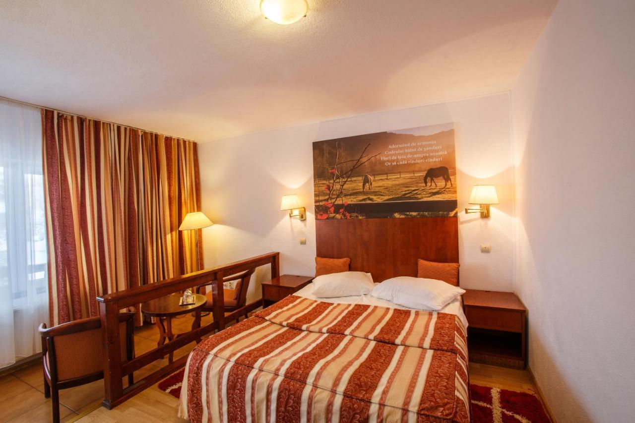 Hotel Domeniul Dracula Daneş Extérieur photo
