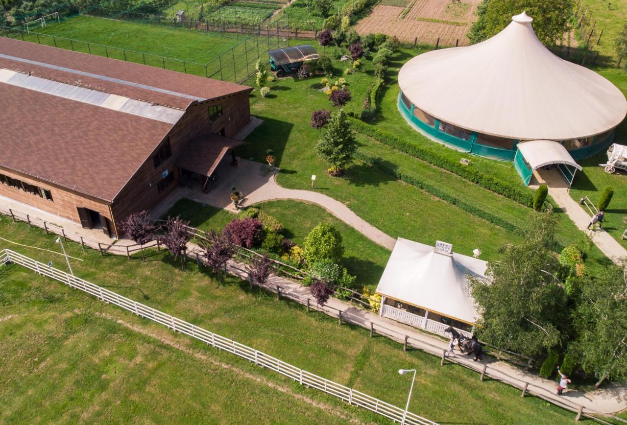 Hotel Domeniul Dracula Daneş Extérieur photo