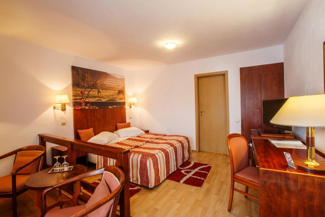 Hotel Domeniul Dracula Daneş Extérieur photo