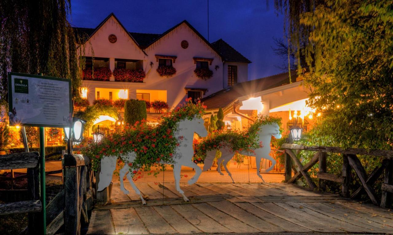 Hotel Domeniul Dracula Daneş Extérieur photo