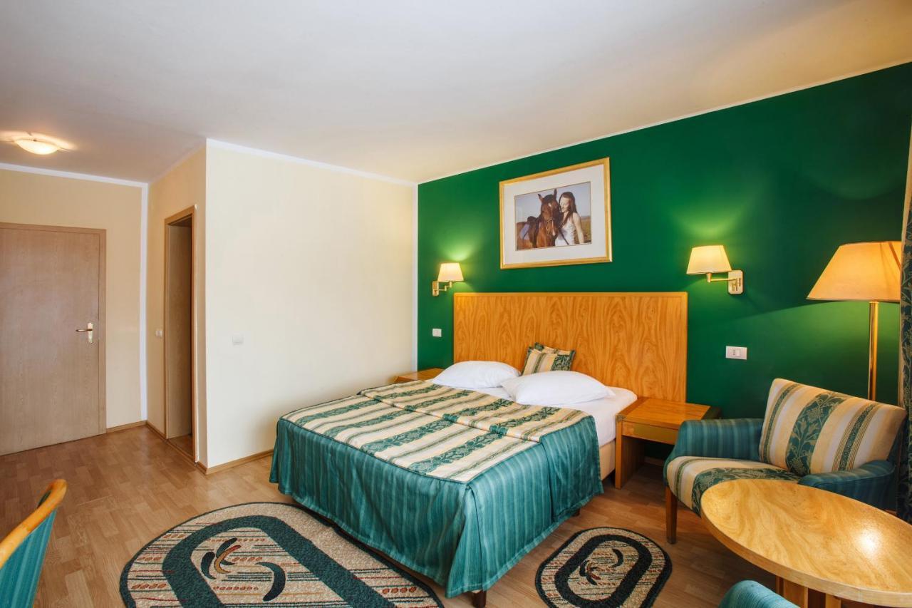 Hotel Domeniul Dracula Daneş Extérieur photo