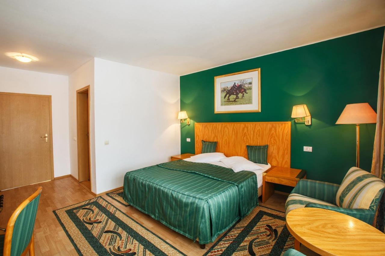 Hotel Domeniul Dracula Daneş Extérieur photo